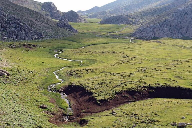 Hayat dolu Göksu Deltası’ndan çıktık yola...