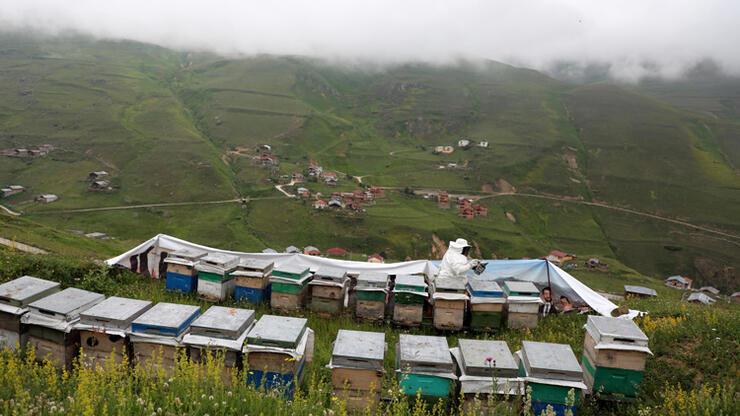 Rize Gezilecek Yerler Listesi... Rize'de Görülmesi Gereken Yerler Ve Yapılacaklar Listesi  