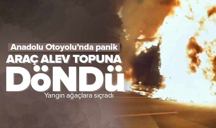 Anadolu Otoyolu’nda TIR alev topuna döndü