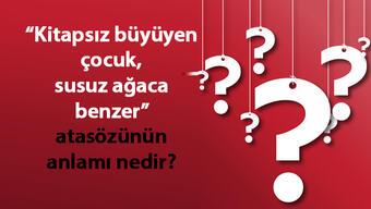 Kitapsız Büyüyen Çocuk Susuz Ağaca Benzer Atasözünün Anlamı Nedir? Kısaca Açıklaması Ve Örnek Cümle…